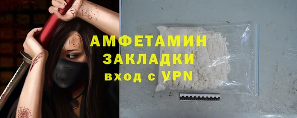 дурь Инсар