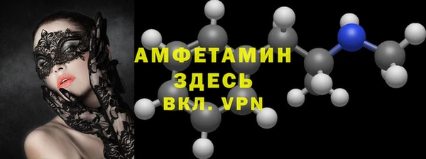 дурь Инсар