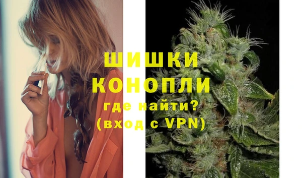 дурь Инсар