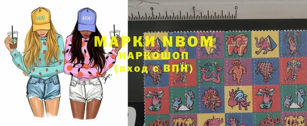 амф Пестово