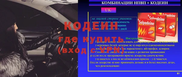 дурь Инсар