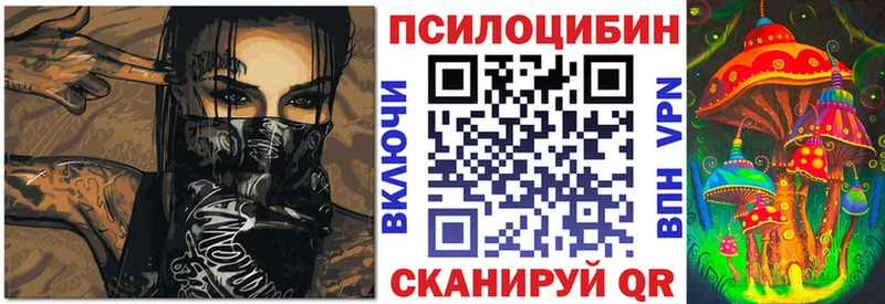 Купить где  Губкинский  Галлюциногенные грибы ЛСД 